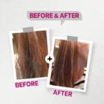 Firstvoc oil replacement - Image 3