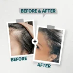 FirstVoc Elixir - Image 6