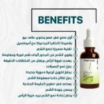 FirstVoc Elixir - Image 2
