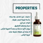 FirstVoc Elixir - Image 3